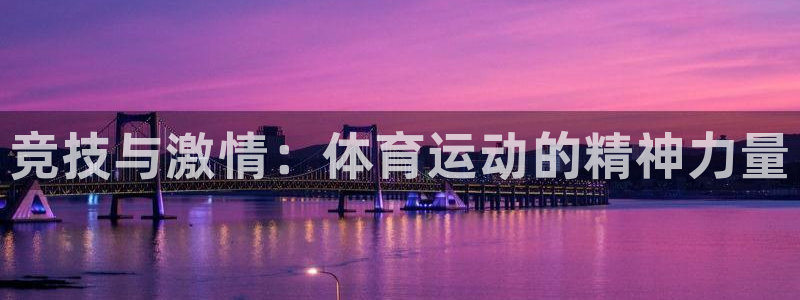 vsport体育官网下载平台注册要钱吗安全吗：竞技与