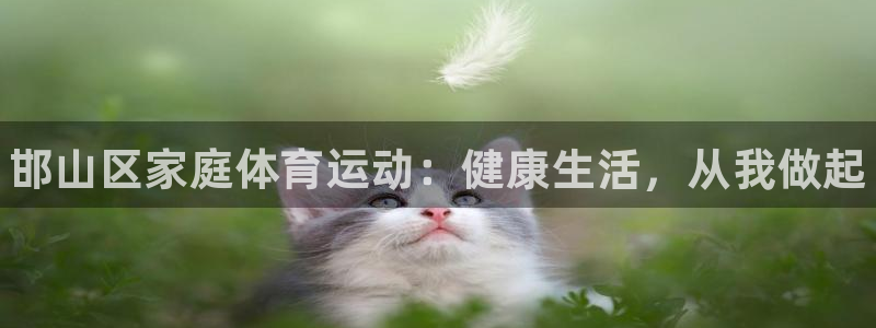 海南vsport体育官网下载发展怎么样：邯山区家庭体