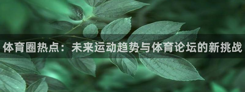 vsport体育官方正版app集团官网首页网址：体育
