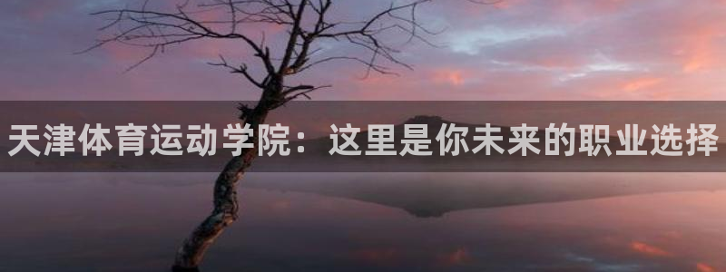 vsport体育官方正版app集团