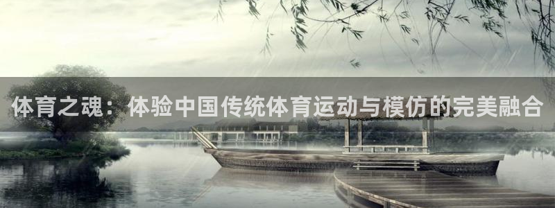 vsport体育官方正版app集团官网首页网址：体育