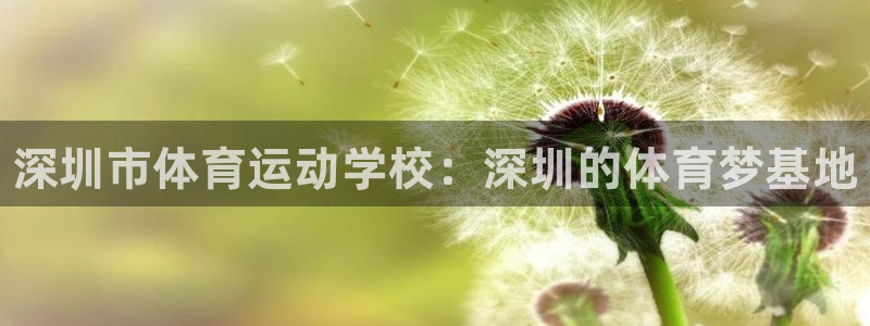 vsport体育官网下载平台：深圳市体育运动学校：深