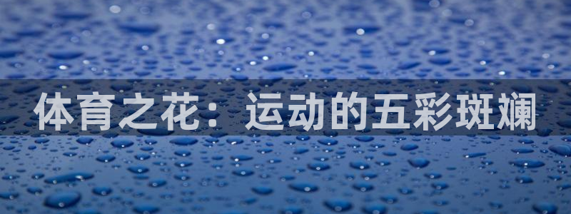 vsport体育官方正版app集团：体育之花：运动的