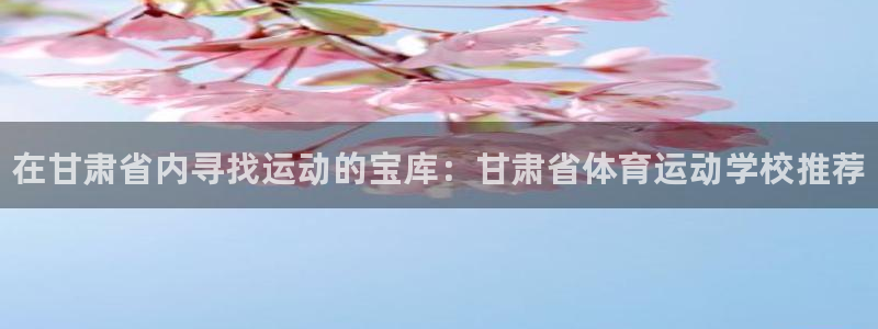 vsport体育官方正版app集团官网网址：在甘肃省内寻找运
