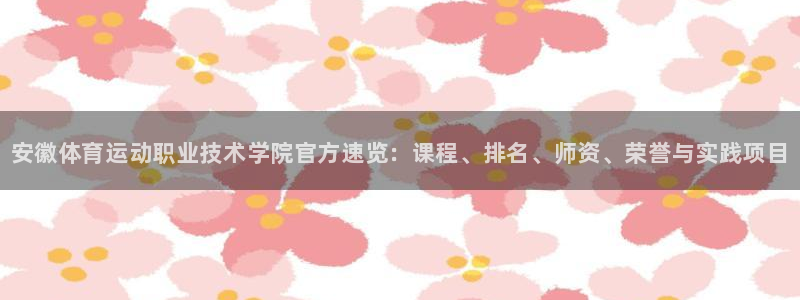 vsport体育官方正版app代理：安徽体育运动职业