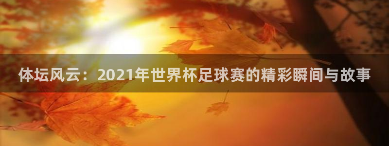 vsport体育官网下载官方客服电话：体坛风云：2021年世