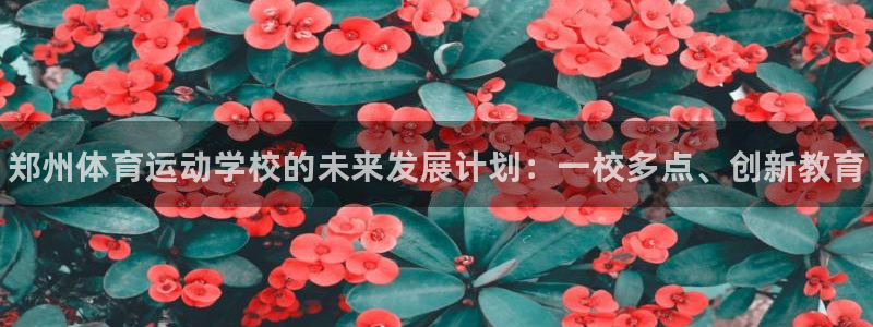 海南vsport体育官网下载：郑州体育运动学校的未来发展计划