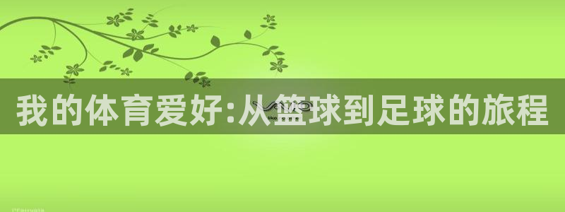 vsport体育官网下载官方客服电话：我的体育爱好:从篮球到
