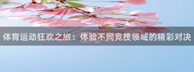 vsport体育官方正版app科技：体育运动狂欢之旅：体验不