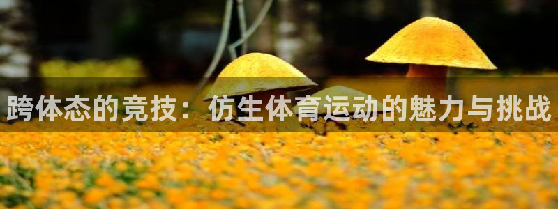 vsport体育官方平台体育：跨体态的竞技：仿生体育运动的魅