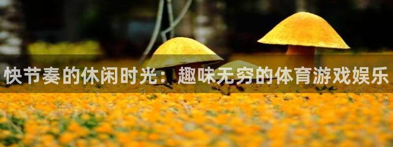 vsport体育官网下载招商电话：快节奏的休闲时光：趣味无穷