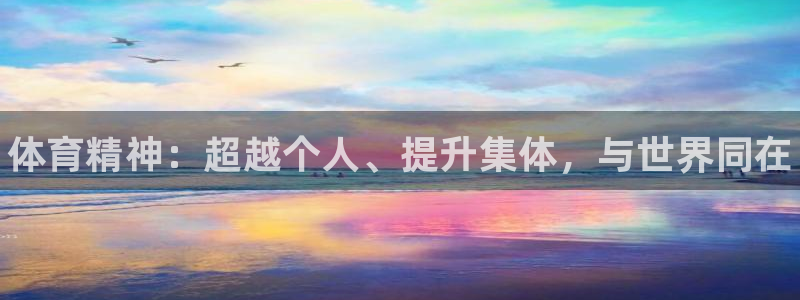 vsport体育官网下载招商电话地址：体育精神：超越个人、提