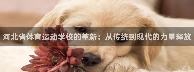 vsport体育官网下载软件：河北省体育运动学校的革新：从传