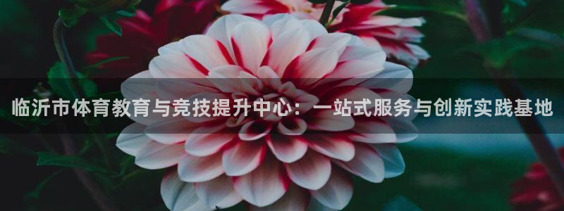 vsport体育官网下载招商电话号码是多少号：临沂市体育教育