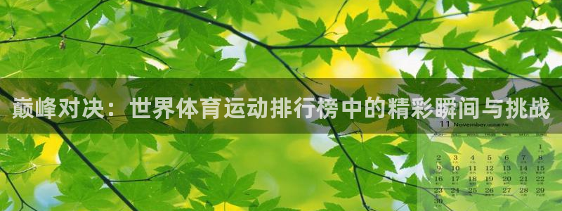 vsport体育官方正版app集团官网网址：巅峰对决