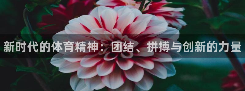 vsport体育官网下载招商电话号码