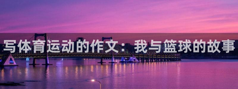 vsport体育官方正版app五金厂：写体育运动的作