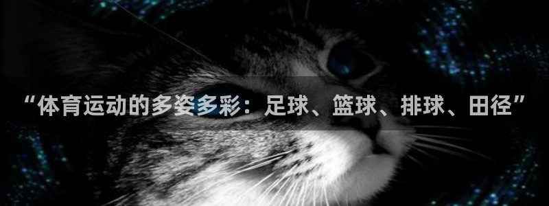 vsport体育官网下载招商电话是多少号码：“体育运