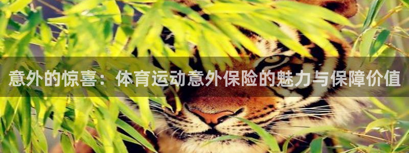 vsport体育官方正版app娱乐下载：意外的惊喜：