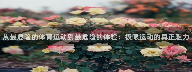vsport体育官网下载招商：从最危险的体育运动到最危险的体