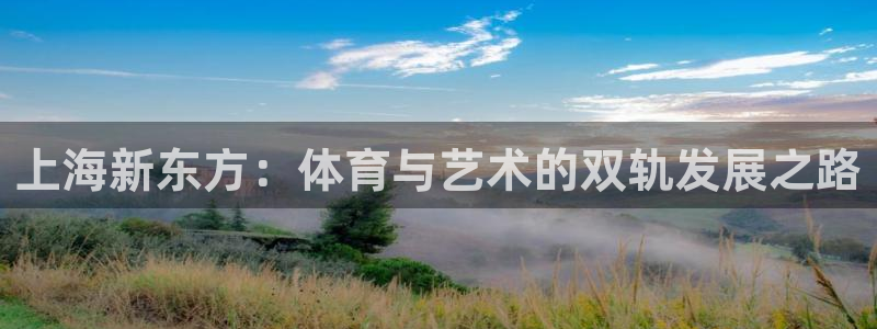 vsport体育官方正版app娱乐下载：上海新东方：