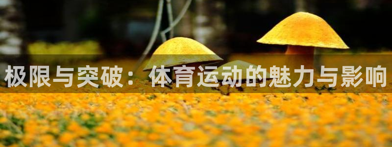 vsport体育官网下载娱乐：极限与突破：体育运动的魅力与影
