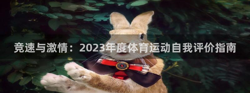 vsport体育官方正版app娱乐首页网站大全：竞速