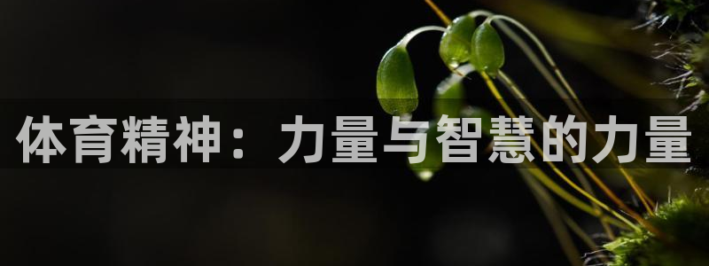 vsport体育官方正版app新能源：体育精神：力量与智慧的