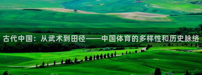 vsport体育官方正版app神州：古代中国：从武术到田径—