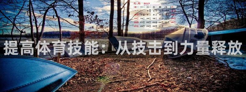 海南vsport体育官网下载：提高体育技能：从技击到力量释放