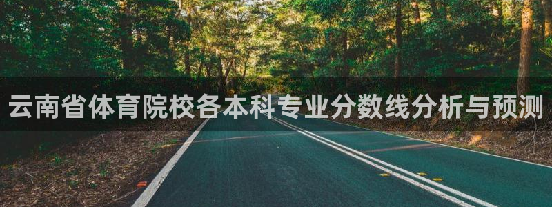 vsport体育官方正版app代理