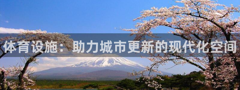 海南vsport体育官网下载发展怎么样：体育设施：助力城市更