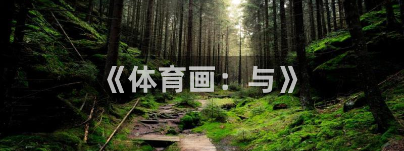 vsport体育官网下载平台是正规平台吗知乎：《体育画：与》