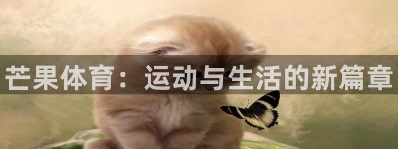 VSport体育官网入口：芒果体育：