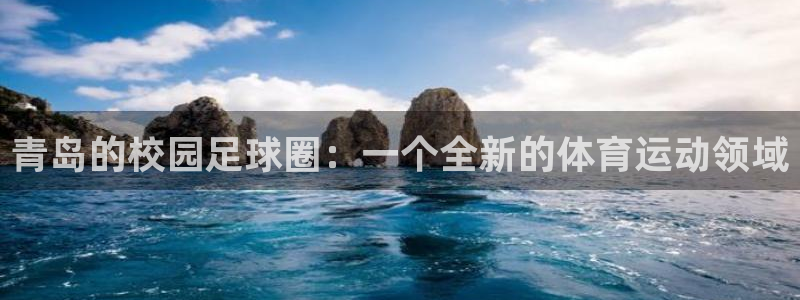 VSport体育官网入口：青岛的校园