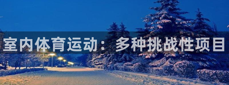  vsport体育平台app：室内体育运动：多种挑战性项目