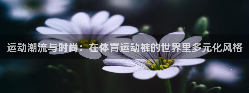 vSport体育app最新版本更新内