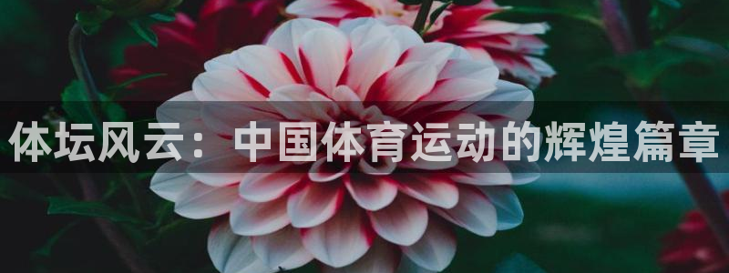 vsport体育官网：体坛风云：中国