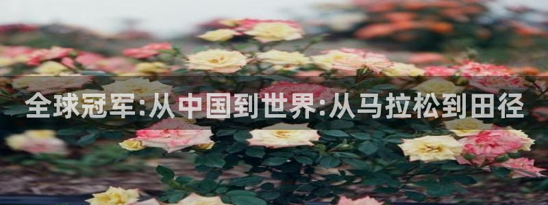  vsport体育平台：全球冠军:从中国到世界:从马拉松到田径