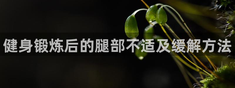 vsport体育平台app：健身锻炼后的腿部不适及缓解方法