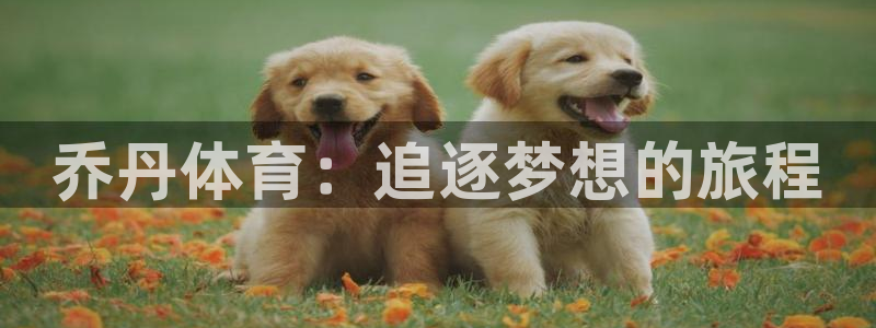 vsport体育：乔丹体育：追逐梦想的旅程