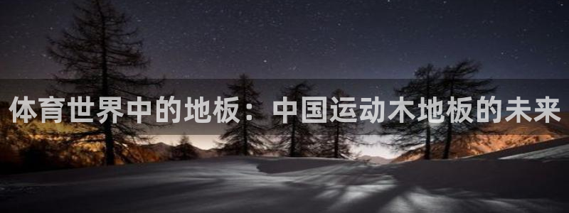 Vsport体育官方网站入口：体育世界中的地板：中国运动木地