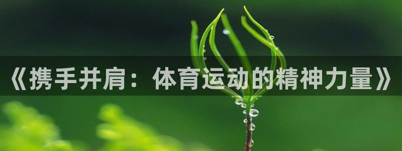  vsport体育阿根廷：《携手并肩：体育运动的精神力量》