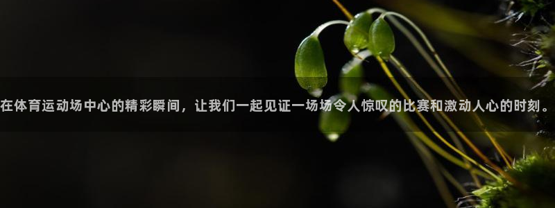 Vsport体育官方网站入口：在体育
