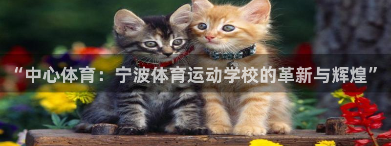 vsport体育平台app下载安装免费：“中心体育：宁波体育