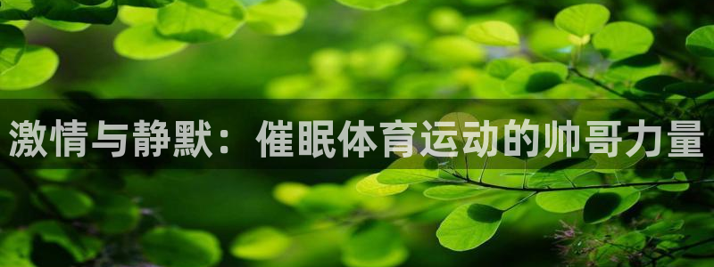 VSport体育官网入口：激情与静默：催眠体育运动的帅哥力量