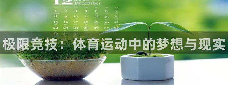 vsport体育在线官网阿根廷：极限