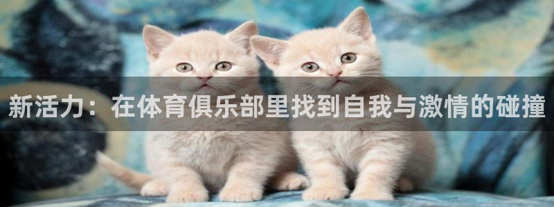  vSport体育在线登录平台：新活力：在体育俱乐部里找到自我