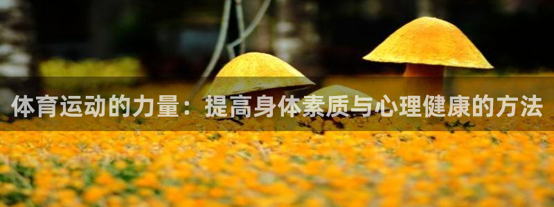 vsport体育在线官网阿根廷：体育
