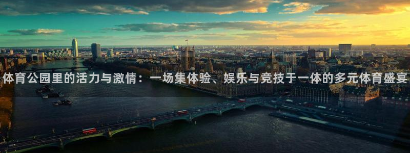  VSport体育官网入口：体育公园里的活力与激情：一场集体验
